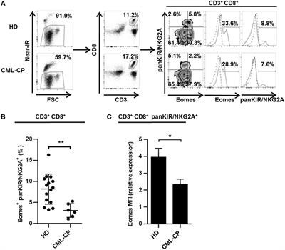 The Hypothesis of the Human iNKT/Innate CD8(+) T-Cell Axis Applied to Cancer: Evidence for a Deficiency in Chronic Myeloid Leukemia